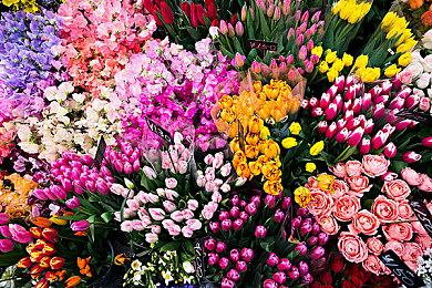 国潮风格悬疑解谜游戏《栖云异梦》首发9折！