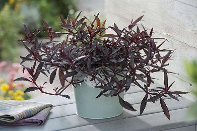 大宇回合制RPG《三国战旅：乱世行》12分钟实机